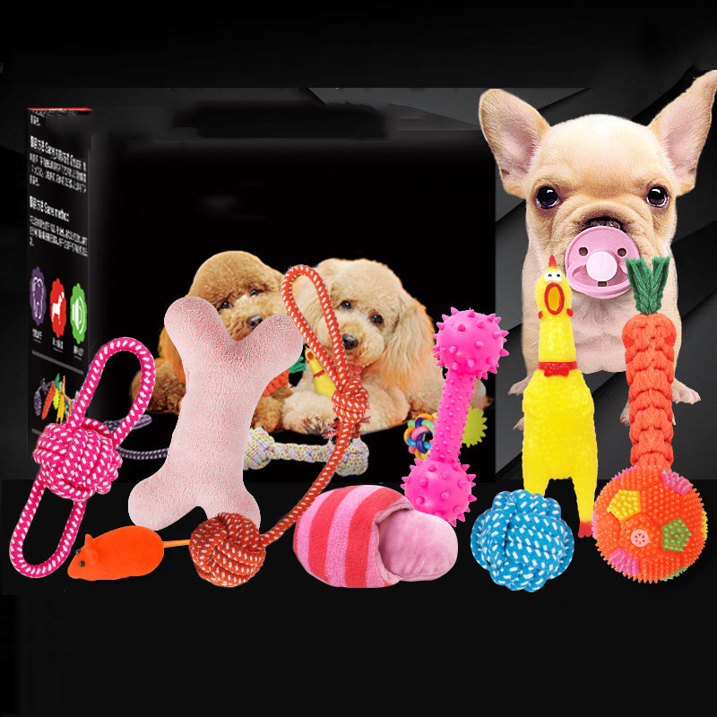 Excitement in a Box: Vocal Dog Toy Assortment Sets (Rubber & Cotton Rope Mix, Random Colors).