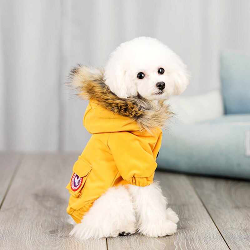 Cozy Pet Dog Outfit with Wool Hat, Warm Polyester & Cotton Clothing Set for Winter