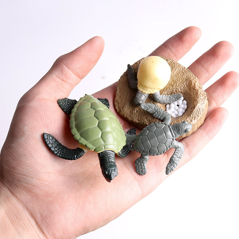 Learn & Play: $\mathbf{5}$ Sets Mini Frog Growth Cycle Simulation Animal Model Toy.