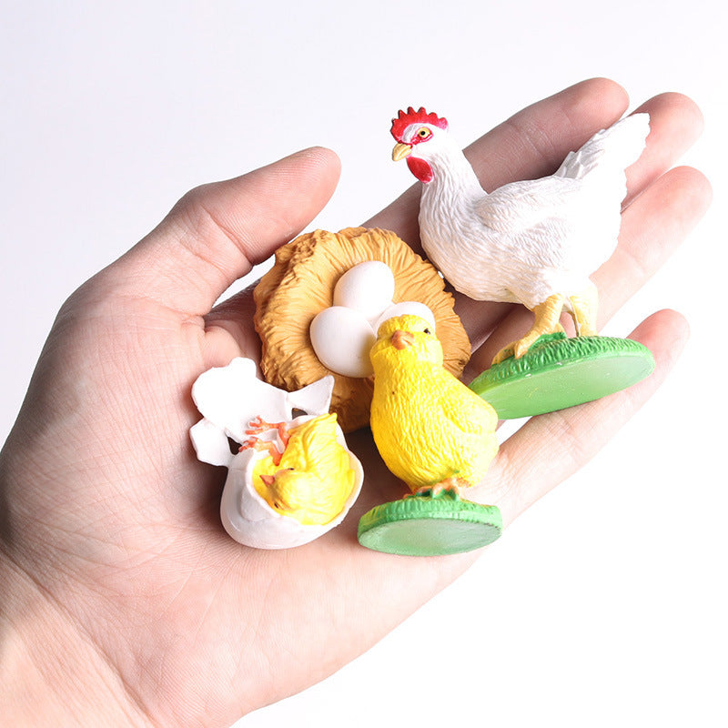 Learn & Play: $\mathbf{5}$ Sets Mini Frog Growth Cycle Simulation Animal Model Toy.