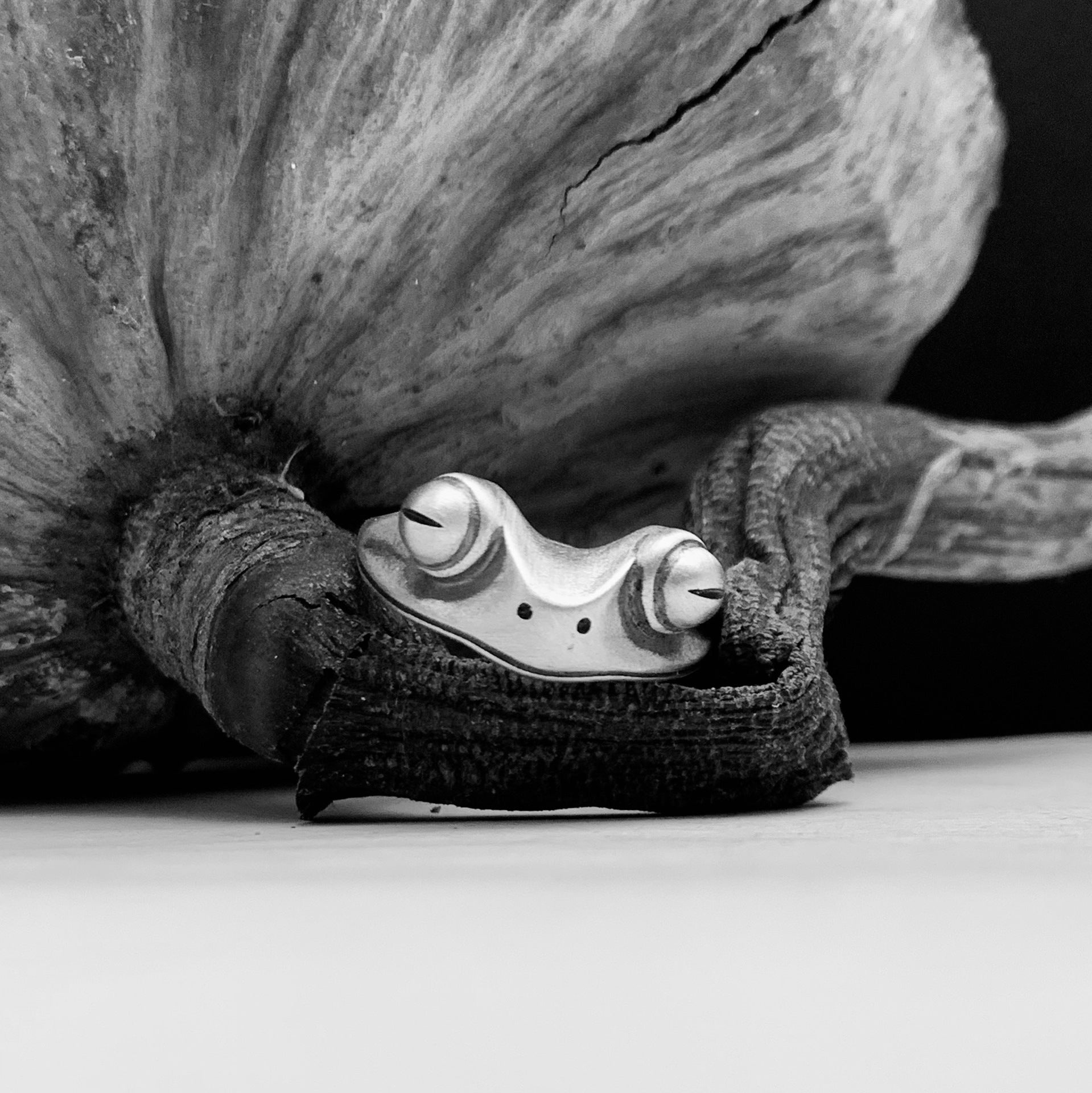 Unisex Statement: Personality Frog Ring in Distressed Vintage $\mathbf{925}$ Silver.
