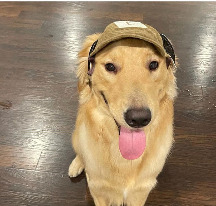 Pet Sports Sun Hat, Breathable Corduroy Sunscreen Cap for Dogs & Cats