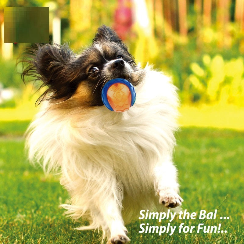 Dog Bite Rugby Sound Toy, Rubber Chew Toy with Squeaker (Olive Combination Small, Blue & Orange)