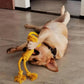 Tough Tug: Modern Dog Chew Toy with Cotton Rope for Molar Teeth Cleaning (Tear-Resistant, $\mathbf{50\text{cm}}$ Long).