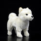 Lifelike Cuddles: Simulation Dog Plush Toy Doll ($\mathbf{26\text{cm}}$ Length).