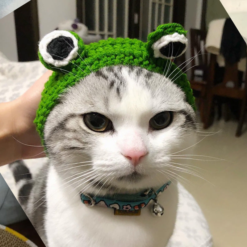 Photo-Ready Fun: Knitted Wool Cartoon Frog Pullover Pet Hat (General Purpose).