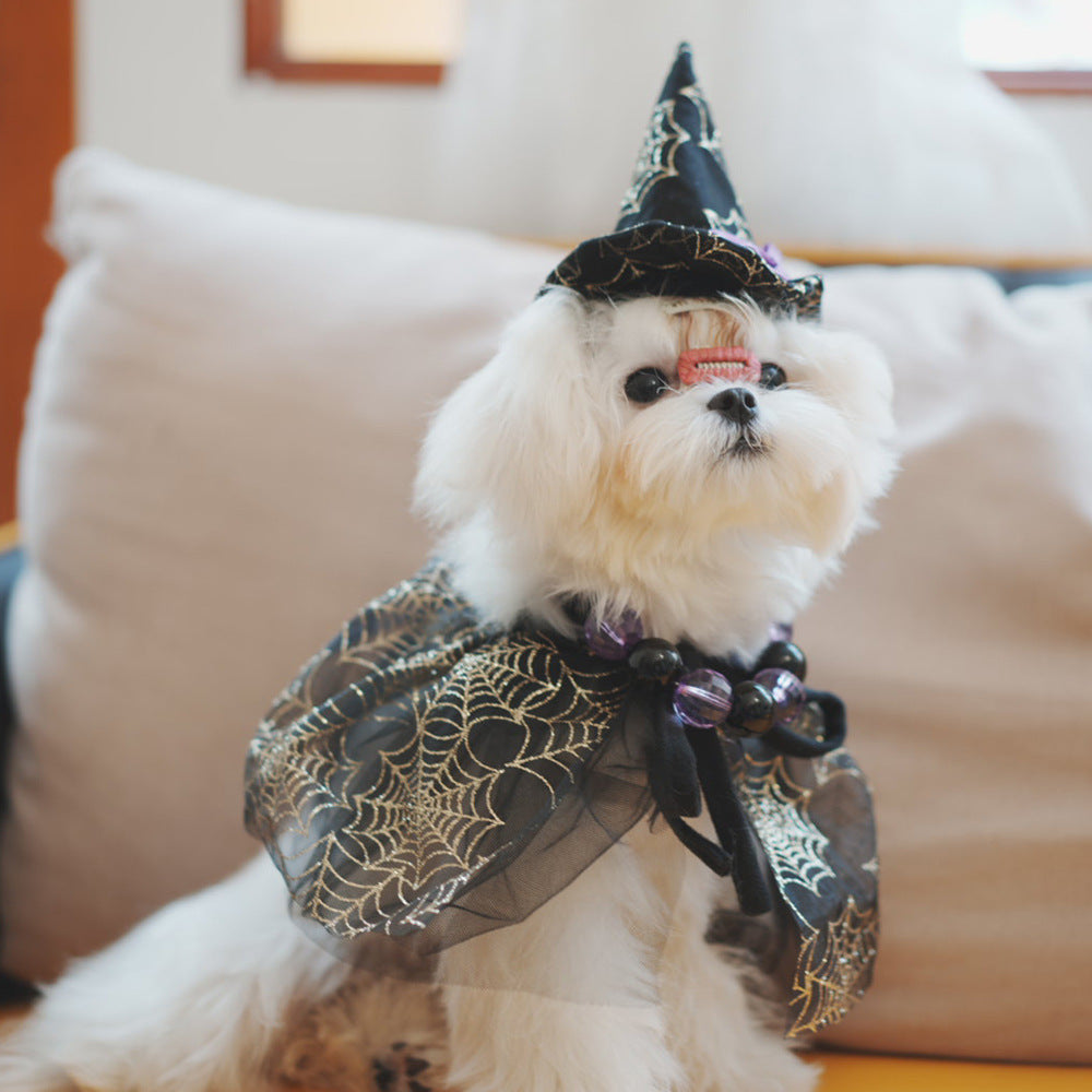 Halloween Pet Spider Hat & Shawl Set, Mesh Skull-Pattern Costume for Dogs & Cats