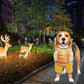 Pet Costumes, Dog Basketball Player Costume for Halloween, Sports Cosplay & Funny Dress-Up