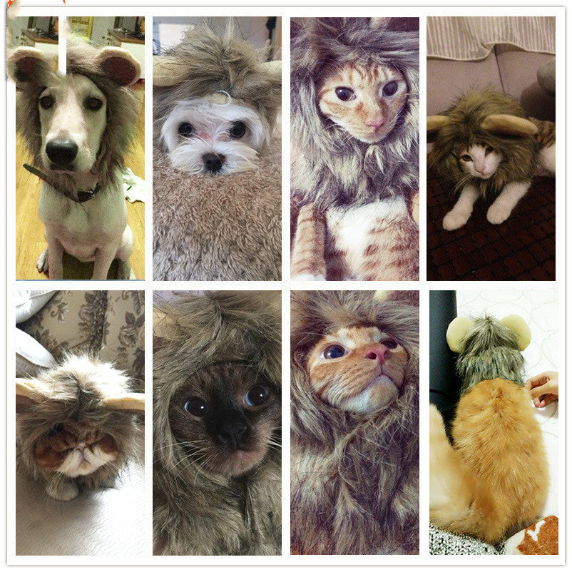 Lion Mane Wig for Pets, Small Ears & No-Ear Variants for Dog Transformation Cosplay
