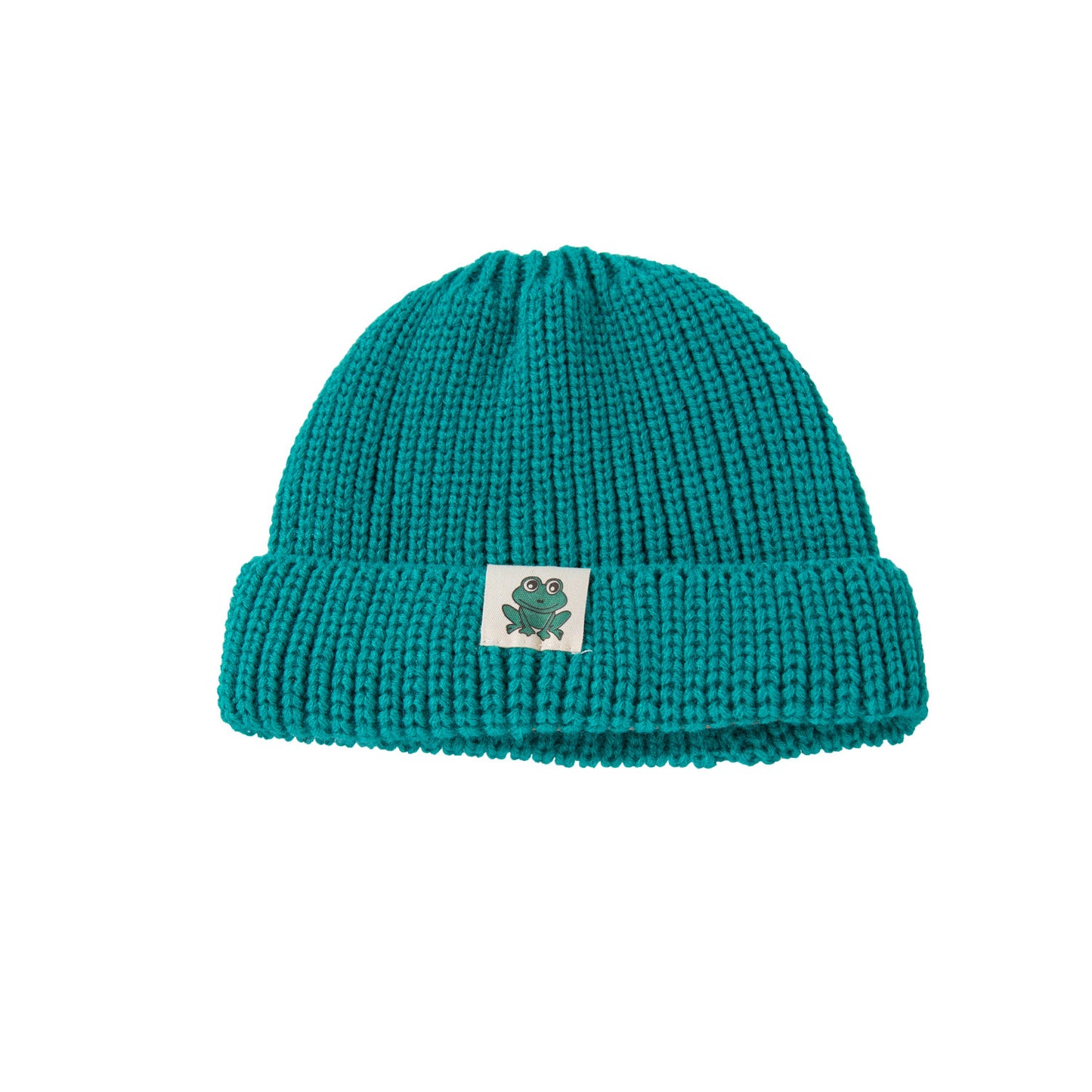 All-Season Warmth: Multicolor Frog Cloth Label Knitted Woolen Hat (Unisex).