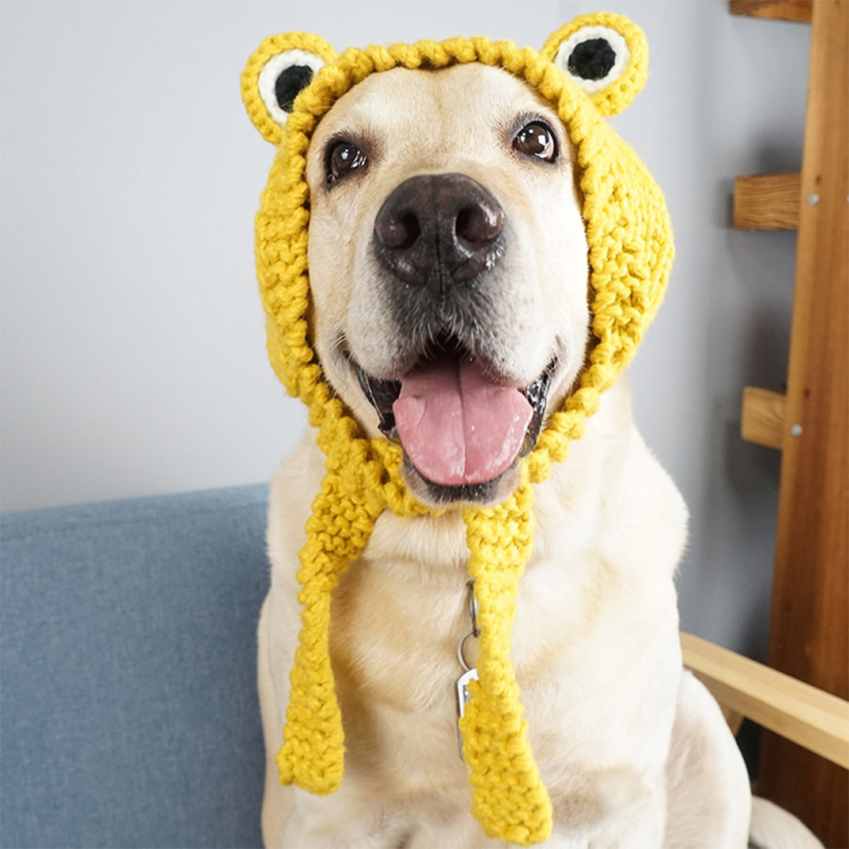 Hand-Knitted Wool Dog Hat, Warm Winter Pet Beanie (Free Size, Yellow)