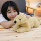 Baby Dog Plush Toy, Soft Cuddle Pillow Stuffed Animal in Khaki & Dark Brown (40cm / 60cm)