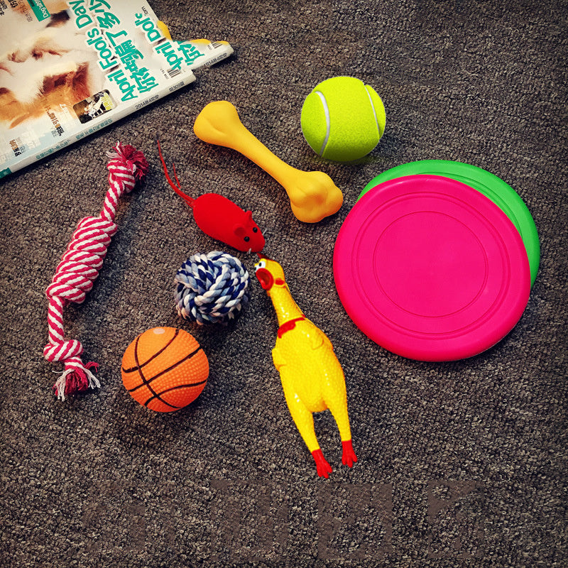 Excitement in a Box: Vocal Dog Toy Assortment Sets (Rubber & Cotton Rope Mix, Random Colors).