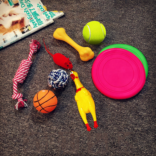 Excitement in a Box: Vocal Dog Toy Assortment Sets (Rubber & Cotton Rope Mix, Random Colors).