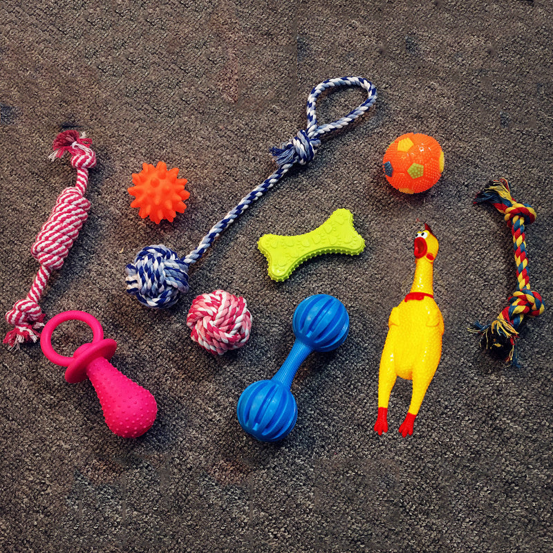 Excitement in a Box: Vocal Dog Toy Assortment Sets (Rubber & Cotton Rope Mix, Random Colors).