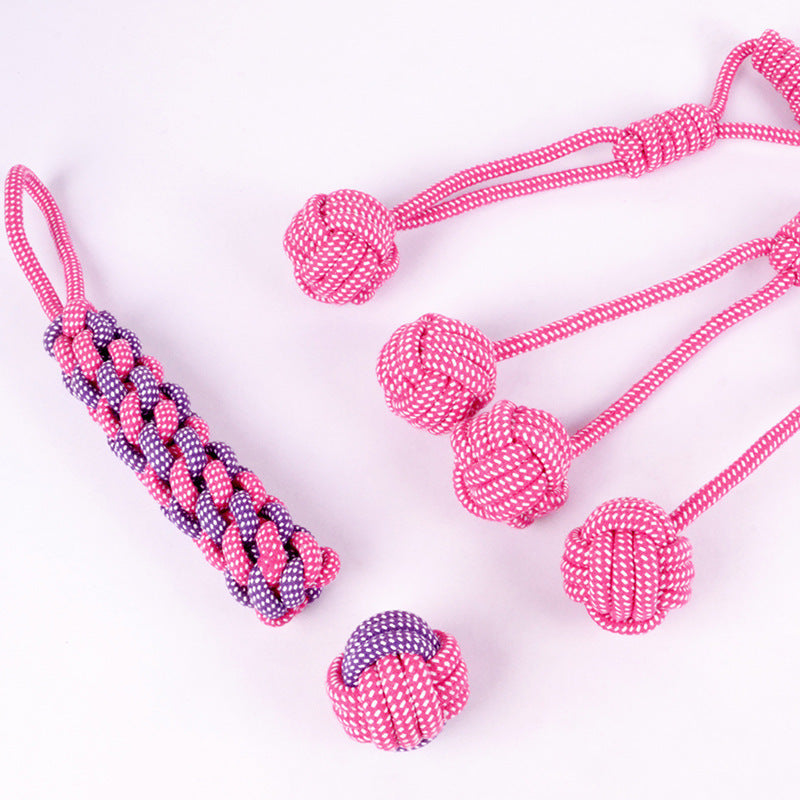 Teddy Golden Dog Toy – Durable Cotton Rope Chew Set for Big Dogs | My Darling Pet Story