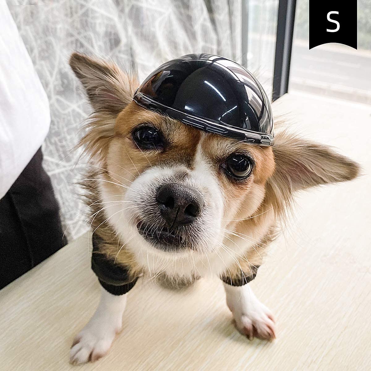 Pet Motorcycle Helmet, Cool ABS Protective Hat for Dogs & Cats