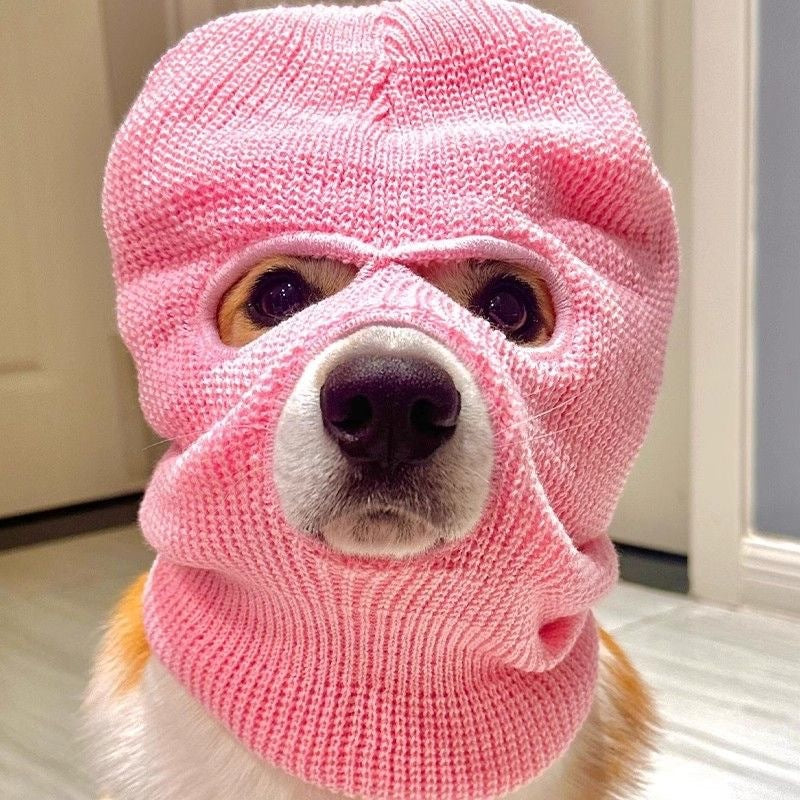 Corgi Puppy Headgear Hat, Cute Wool Dog Creative Headdress