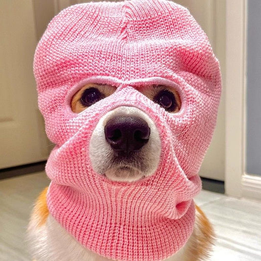 Corgi Puppy Headgear Hat, Cute Wool Dog Creative Headdress