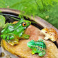 Miniature Charm: Creative Simulation Frog and Mother Turtle Micro Landscape Ornament.