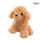 Teddy Dog Plush Toy, Soft Seaweed Hair Stuffed Animal with PP Cotton Filling (18cm / 25cm)