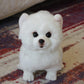Cloud-Soft Cuddles: Plush Dog Doll (Short Down Plush, PP Cotton Filled).