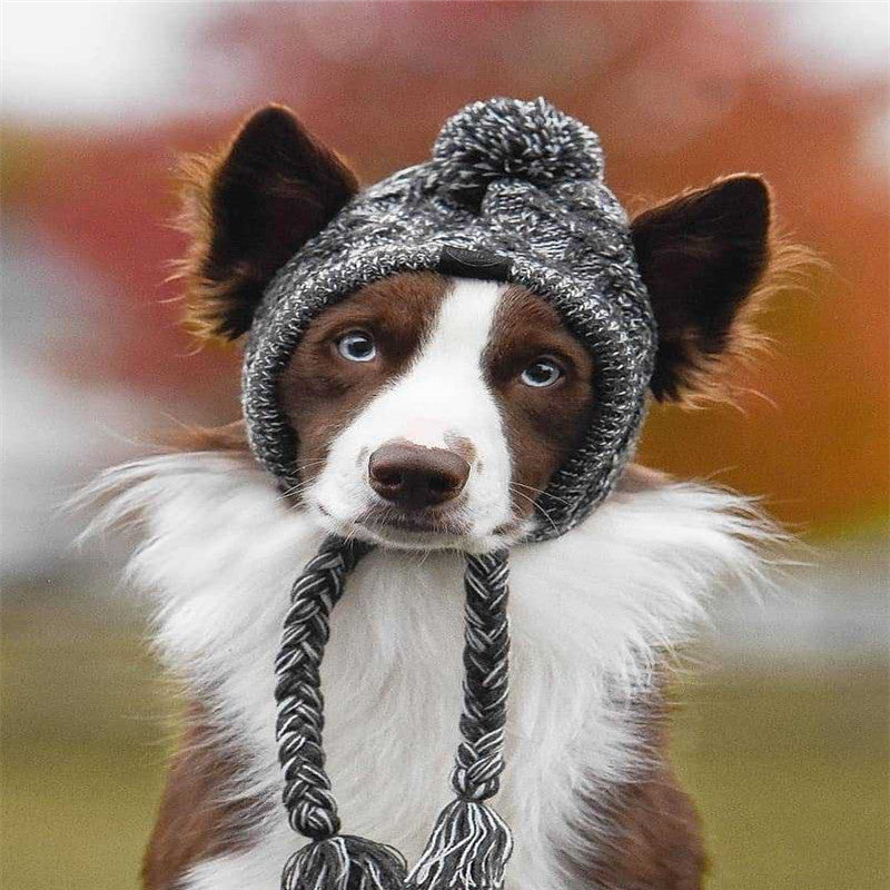 Pet Dog Autumn & Winter Woolen Hat, Cozy Cross-Dressing Style Warm Cap