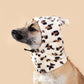 Cute Bear & Rabbit Ears Pet Hat, Adorable Headgear for Dogs and Cats