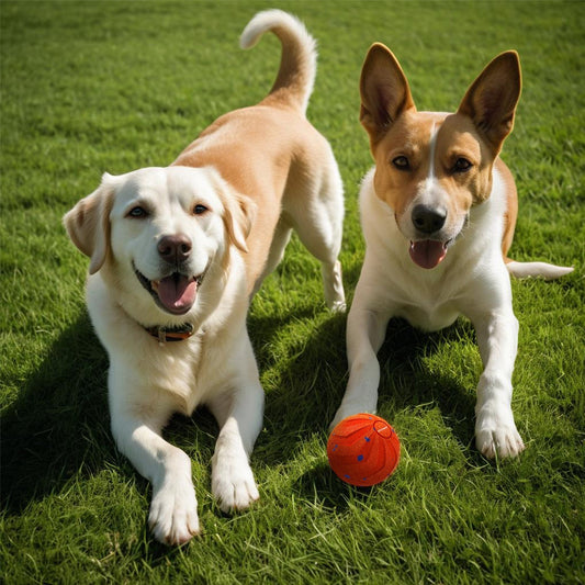 Jumping Dog Toy, Bouncy TPR Pet Ball for Active Play