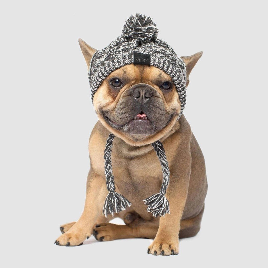 Winter Fashion Dog Hat, Windproof Fluffy Knitted Polar Pom Hat