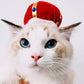 Funny Pet Dog & Cat Costume, Warm Hat Photo Prop Headwear