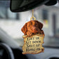 Sleeping Dog Angel Car Pendant, Cute Acrylic Hanging Ornament for Cars, Doors & Home Decor