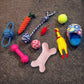 Excitement in a Box: Vocal Dog Toy Assortment Sets (Rubber & Cotton Rope Mix, Random Colors).