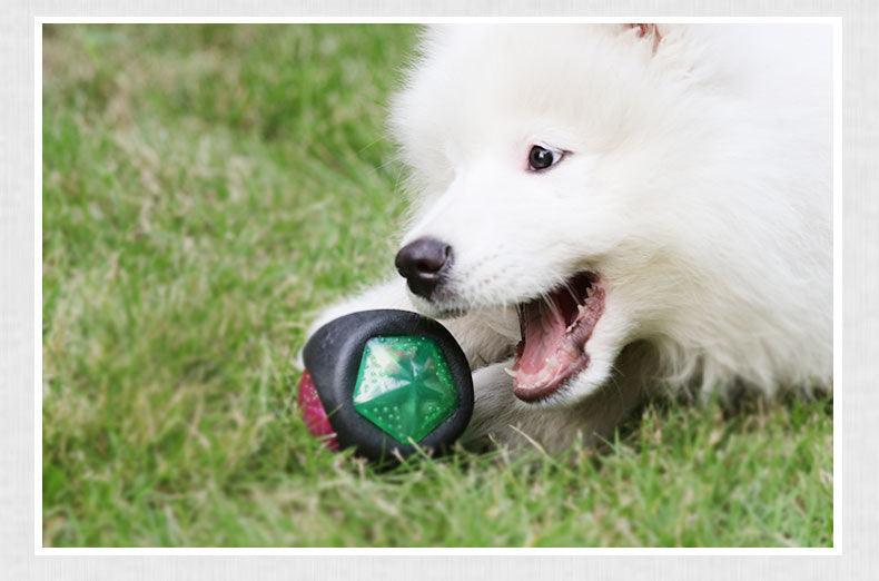Multi-Sensory Fun: Vocal, Bouncing, Glow-in-the-Dark Rubber Dog Toy Ball ($\mathbf{7.6\text{cm}}$).