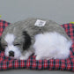 Quiet Comfort: Lovely Simulation Dog Plush Doll with Sound (Sleep Toy, $\mathbf{14\text{cm}}$).