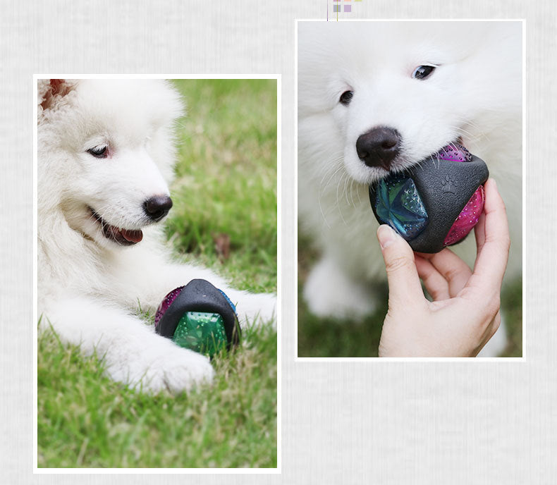 Multi-Sensory Fun: Vocal, Bouncing, Glow-in-the-Dark Rubber Dog Toy Ball ($\mathbf{7.6\text{cm}}$).