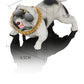 High-End Cool Trend “Bully Dog” Car Ornament, Modern Resin Dashboard Decoration