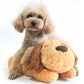 Heartbeat Plush Dog Toy, Interactive Comforting Sleep Companion for Pets (Built-In Heartbeat)