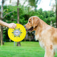 Golden Retriever Favorite: Bite-Resistant, Floating TPU Frisbee for Large Dog Training ($\mathbf{2}$ Sizes, $\mathbf{2}$ Fluorescent Colors).