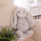 Children’s Plush Bunny Doll, Soft PP Cotton Rabbit Toy & Birthday Gift Pillow (30cm)