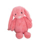 Children’s Plush Bunny Doll, Soft PP Cotton Rabbit Toy & Birthday Gift Pillow (30cm)