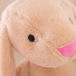 Children’s Plush Bunny Doll, Soft PP Cotton Rabbit Toy & Birthday Gift Pillow (30cm)