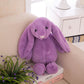 Children’s Plush Bunny Doll, Soft PP Cotton Rabbit Toy & Birthday Gift Pillow (30cm)