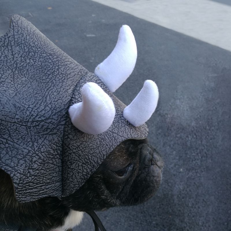 Pet Triceratops Dinosaur Hat, Cute Dog & Cat Transformation Costume Headgear