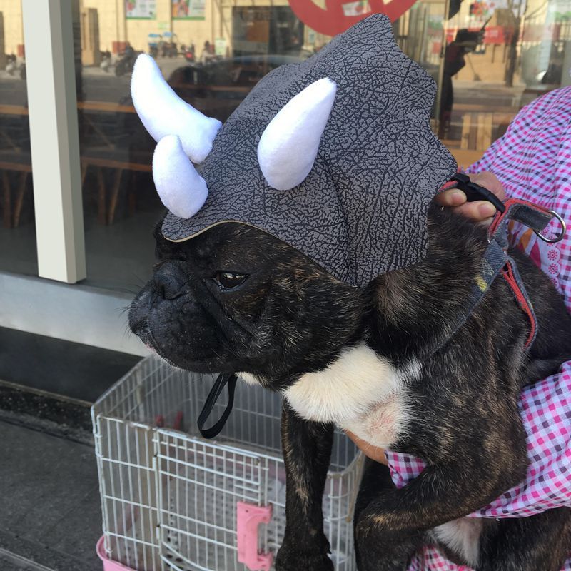 Pet Triceratops Dinosaur Hat, Cute Dog & Cat Transformation Costume Headgear