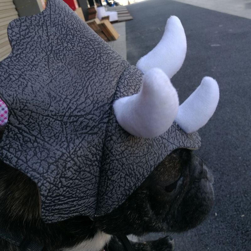 Pet Triceratops Dinosaur Hat, Cute Dog & Cat Transformation Costume Headgear
