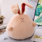 Bunny Doll Plush Toy, Soft Baby Sleep Companion (38cm)