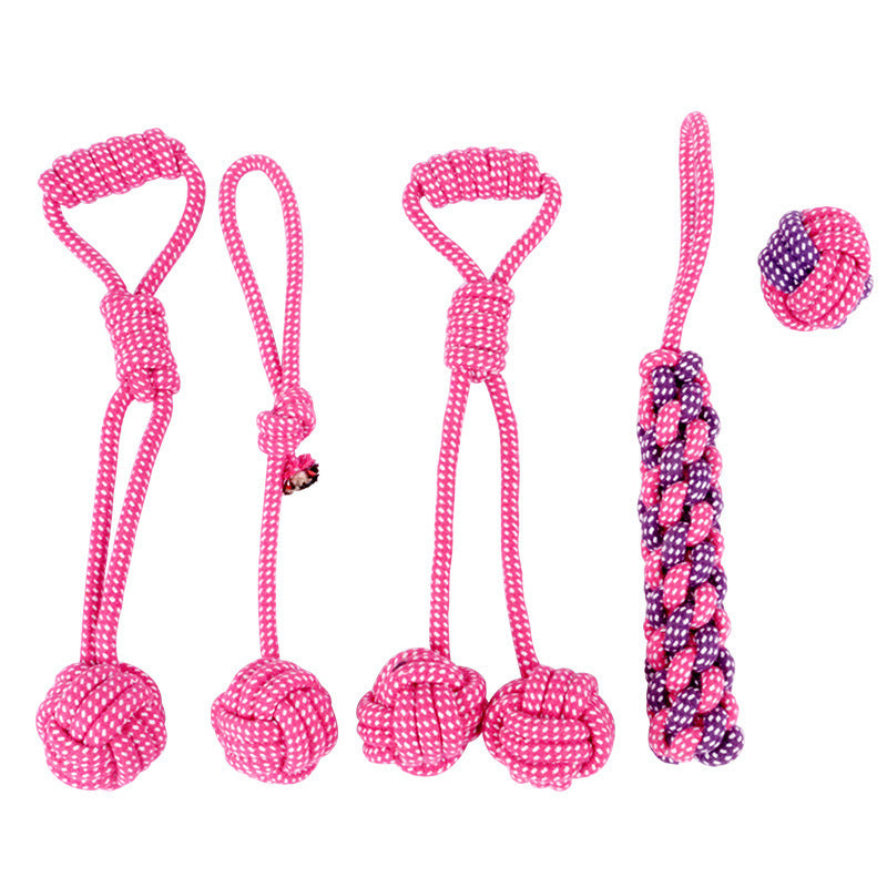 Teddy Golden Dog Toy – Durable Cotton Rope Chew Set for Big Dogs | My Darling Pet Story