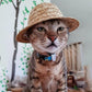 Vintage Farmer Straw Hat for Pets, Cute Cat & Dog Sun Hat Ornament