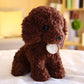 Teddy Dog Plush Toy, Super Soft Short Plush Stuffed Animal with PP Cotton Filling (Kids Safe)